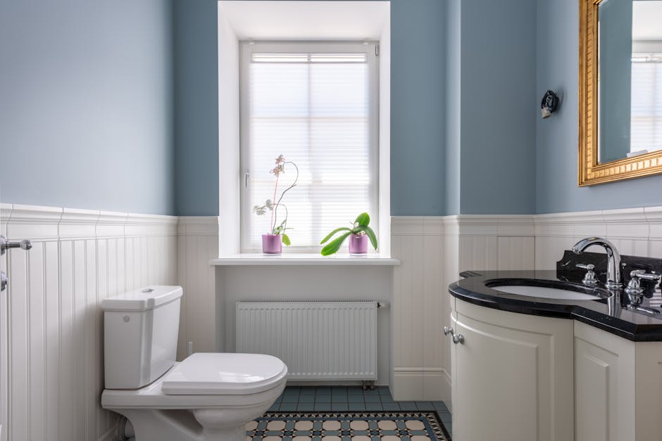 Toilet Repair & Installation in Brandon, FL - The Brandon Plumber